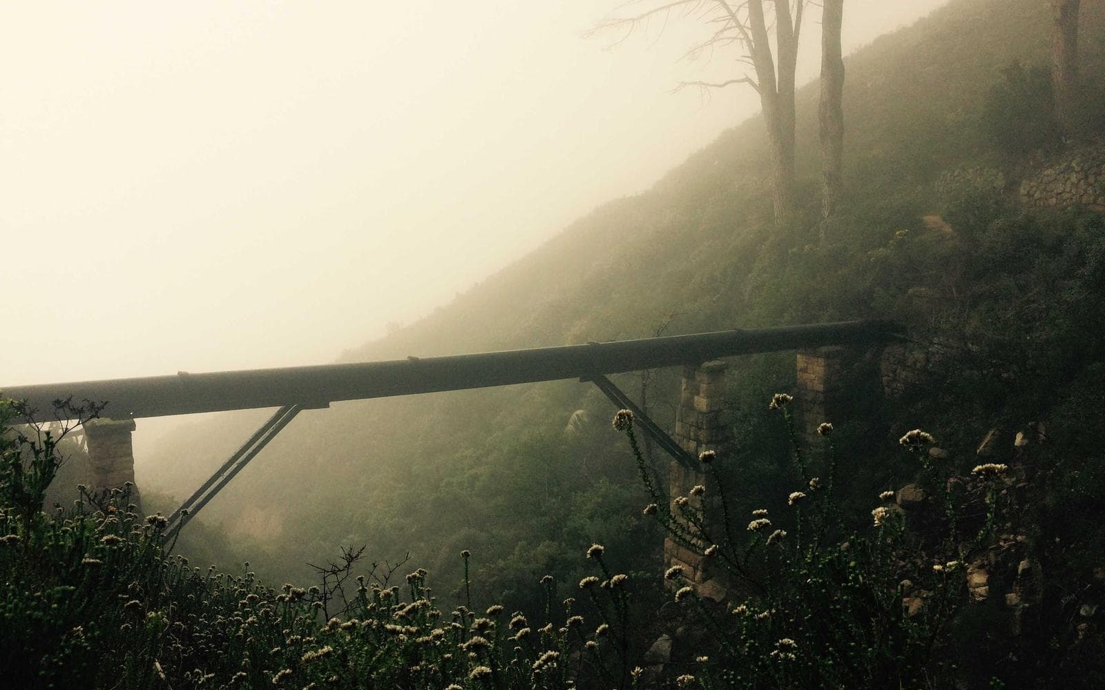 Trongsa photo 5